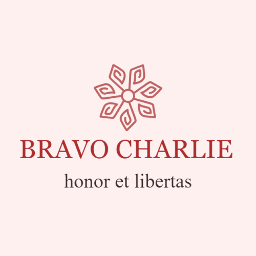 Cia Bravo Charlie - patches militares